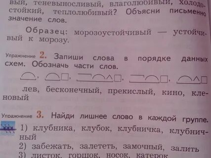 Объясни письменно значение данных слов образец