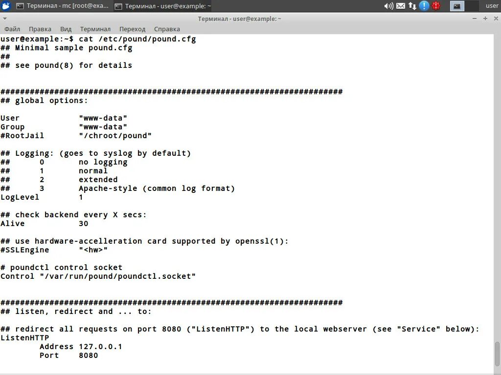 Терминал суперпользователя. Терминал суперпользователь. Qt Terminal example. User terminal