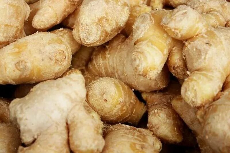 Ginger pics. Имбирь это овощ. Zingiber officinale. Корень имбиря. Ginger pics.