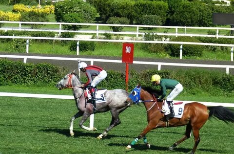 Riding competition