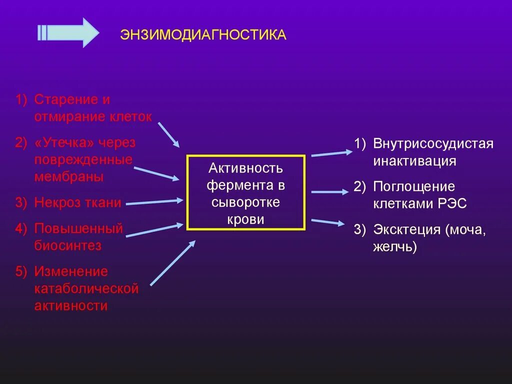 Активность ферментов в сыворотке крови. Энзимодиагностика. Принципы энзимодиагностики. Энзимодиагностика биохимия. Механизмы изменения уровня активности ферментов в крови.