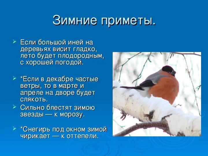Приметы на зимнюю тему. Зимние приметы. Народные приметы на зимнюю тему. Народные приметы о зиме для 2 класса. Народные приметы на зимнюю тему 2 класс.