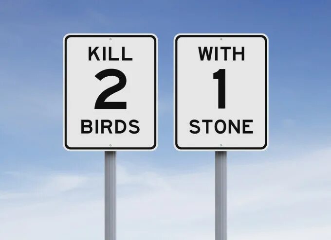 Two Kill two Birds with one Stone. Kill 2 Birds with 1 Stone. Kill two Birds with one Stone иллюстрация. Kill two Birds with one Stone перевод идиомы.