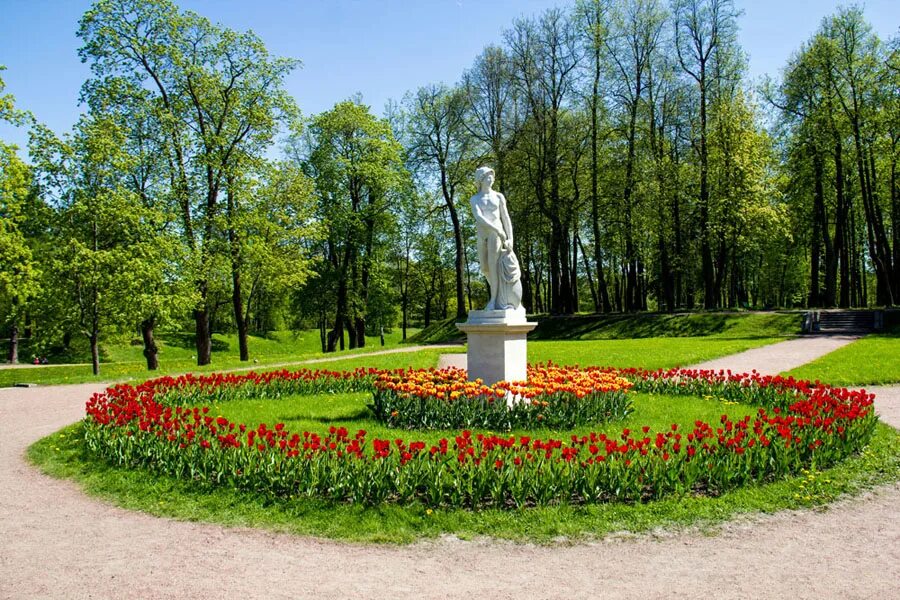 Марс голландские сады гатчина. Гиэфпт гатчина. Гифпт гатчина. Рощинская 5 гатчина институт. Гифпт гатчина.