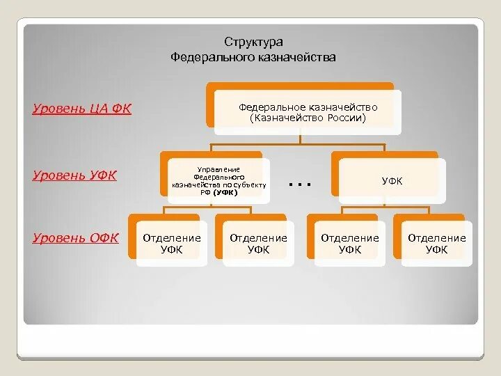Организационная структура казначейства рф. Управление казначейства по новосибирской области. Структура органов федерального казначейства. Структура органов федерального казначейства в рф. Структура федерального казначейства рф схема.