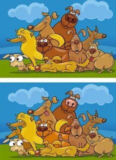 Картинки с отличиями с ответами