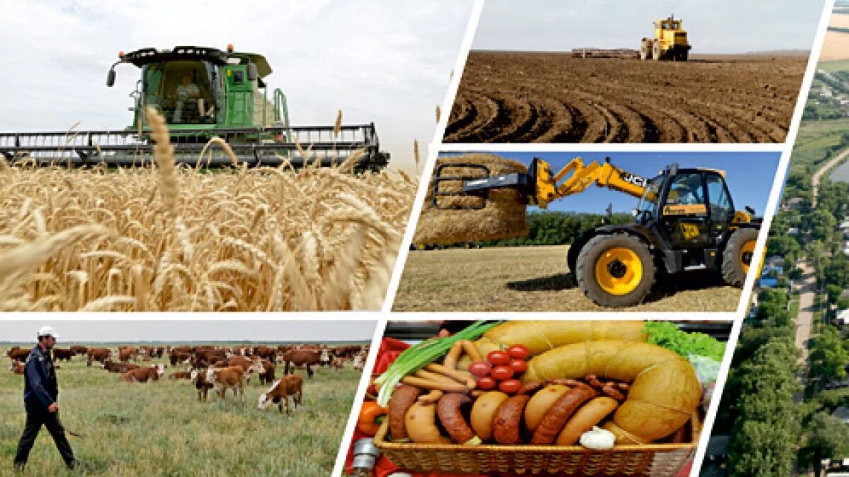 Ж сх. Сельское хозяйство. Промышленность и сельское хозяйство. Сельскохозяйственные культуры. Сельскохозяйственная промышленность.
