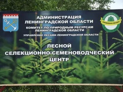 Комитет природных ленинградской