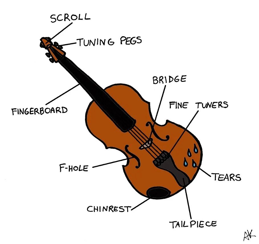 Violin Parts. Components of Violin. Произношение Violin. Violin Hips Тип. Скрипка на английском языке