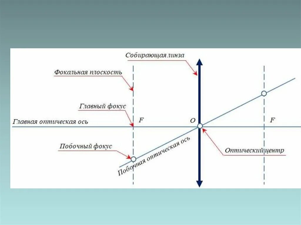 Главная оптическая ось плоскость линзы оптический центр. Побочный фокус рассеивающая линза. Главная оптическая ось и фокус линзы. Главная оптическая ось и побочная оптическая ось. Главный оптический центр линзы это