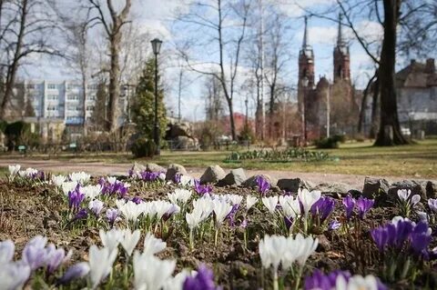 Апрель рыбинск