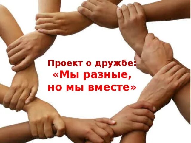 Мир дружба 5. Мир дружба 5