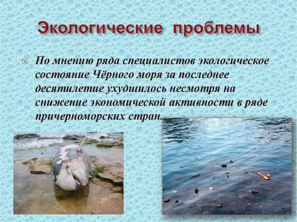 Черное море экологические проблемы