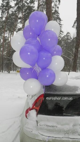 Воздушные шарики зимой. Зимние воздушные шары. Шары зимой. Зима и воздушные шарики. Воздушный шар на морозе.