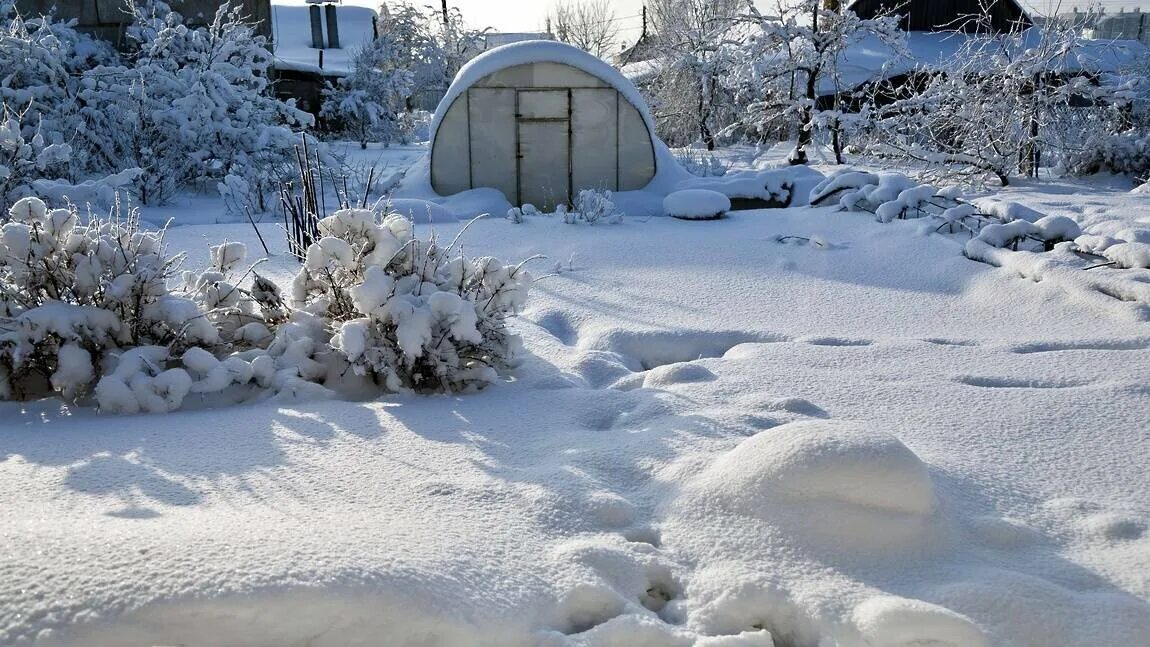 Снежное богатство. Дача. Зима. Дачный участок зима. Заснеженный дачный участок. Снег на даче.