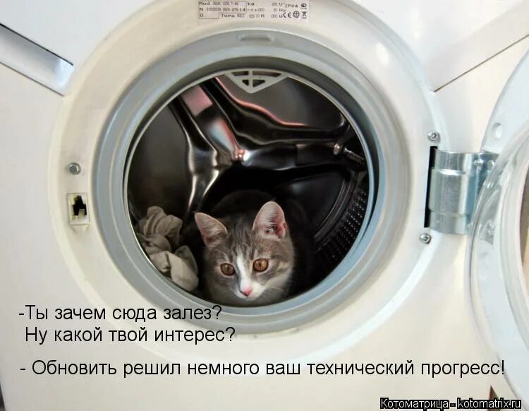 ты зачем сюда залезла. что вы делаете в моем холодильнике. иллюстрация жми сюда. напомни зачем я сюда лезу панда. нажимай сюда.