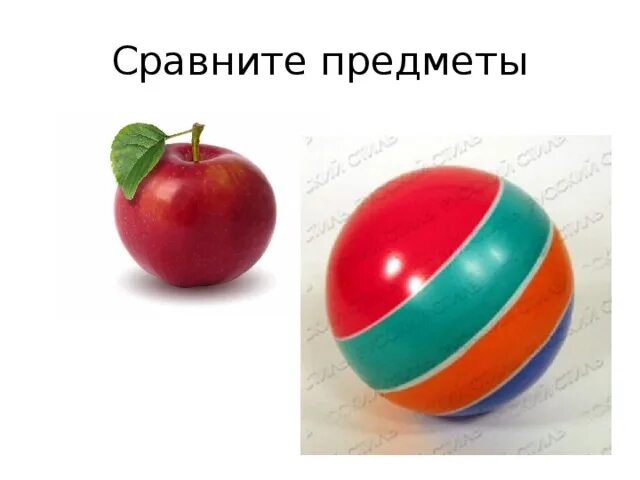 Между предметами