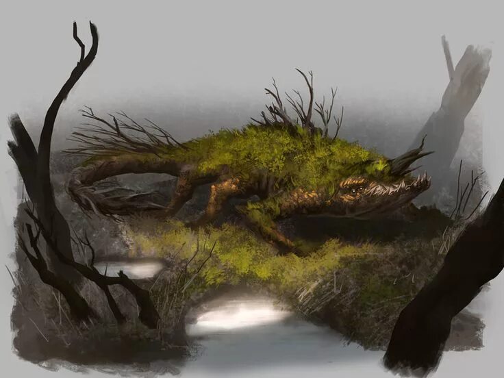 Swamp dingo
