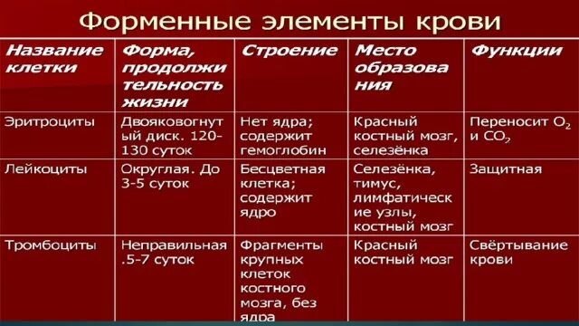 Клетки крови их строение и функции. Состав и функции форменных элементов крови. Состав крови функции клеток крови. Строение и функции клеток крови таблица.