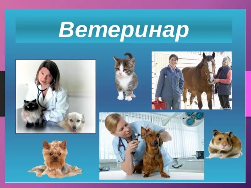 Ветеринар доклад. Профессия ветеринар. Проект профессия ветеринар. Проект на тему профессия ветеринар. Профессия ветеринар 2 класс.