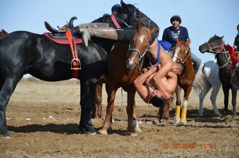 Смотреть секс анаммен онлайн (mp4)