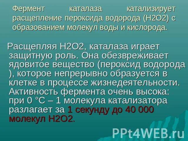 Фермент каталаза. Лабораторная работа расщепление пероксида водорода. Каталаза и перекись. Каталаза фермент функции. Пероксид водорода и картофель