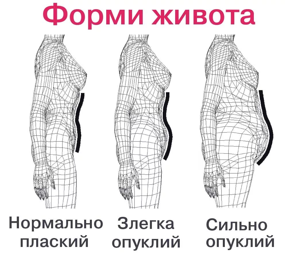 Типы живота. Форма живота. форма живота виды. прямая форма живота. форма живота в норме.