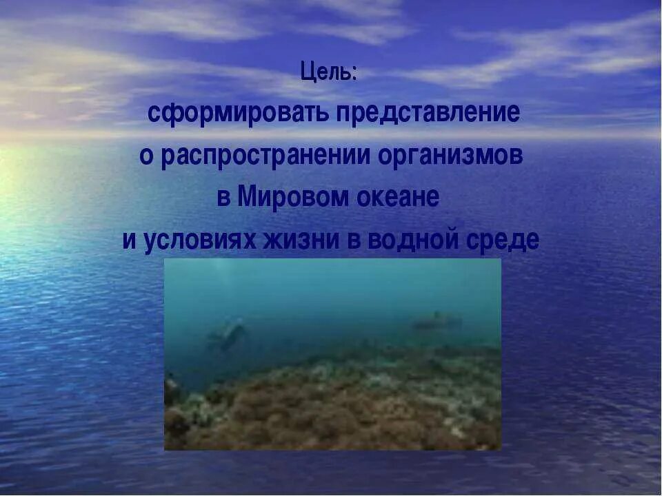 Урок 6 класс жизнь в океане. Условия жизни в водной среде. Распространение организмов в мировом океане. Цель мирового океана. Условия жизни в мировом океане.