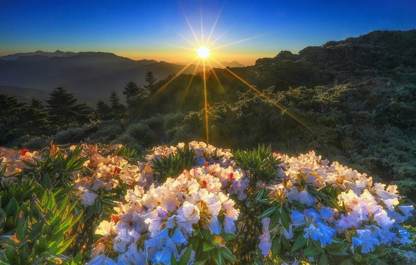 Прекрасное утро природа. Весенний рассвет. Природа рассвет. Рассвет в горах. Рассвет солнца.