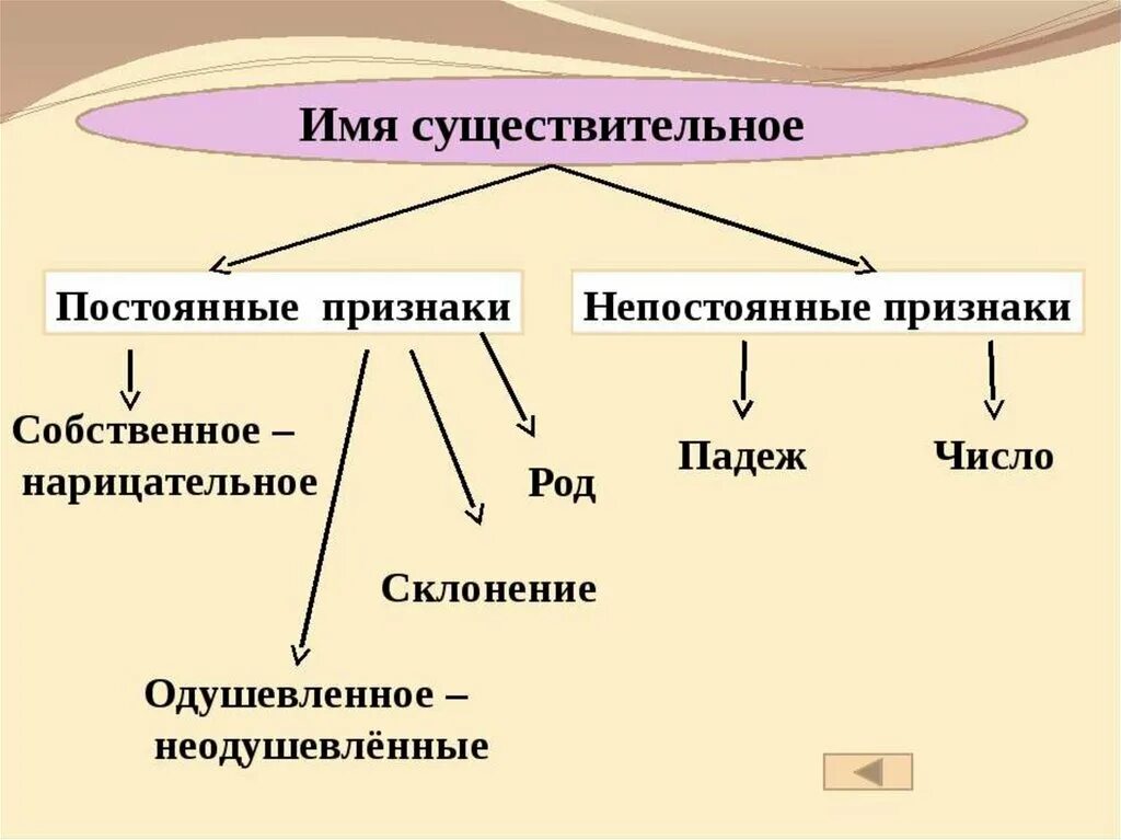 Непостоянные признаки прилагательного 5 класс. Постоянные непостоянные морфологические признаки существительного. Имя существительное постоянные и непостоянные признаки. Существительное постоянные признаки. Постоянные морфологические признаки имён существительных.