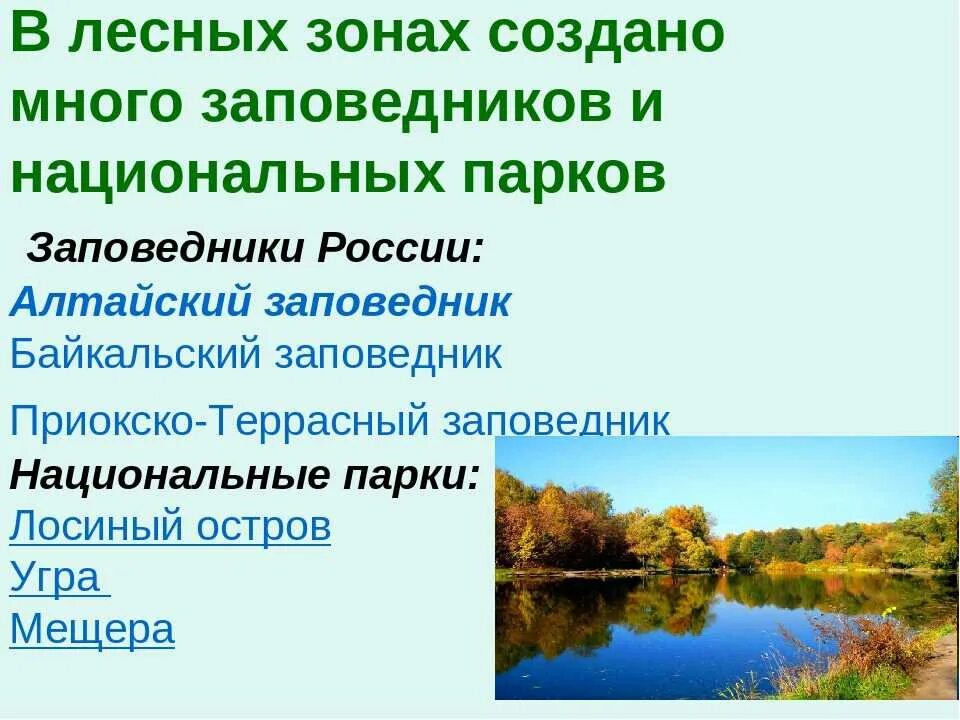 Национальные парки страны россии. Заповедники расположенные в зоне лесов. Заповедники разложены в зоне лесов. Заповедники Лесной зоны. Название заповедников расположенных в зоне лесов.