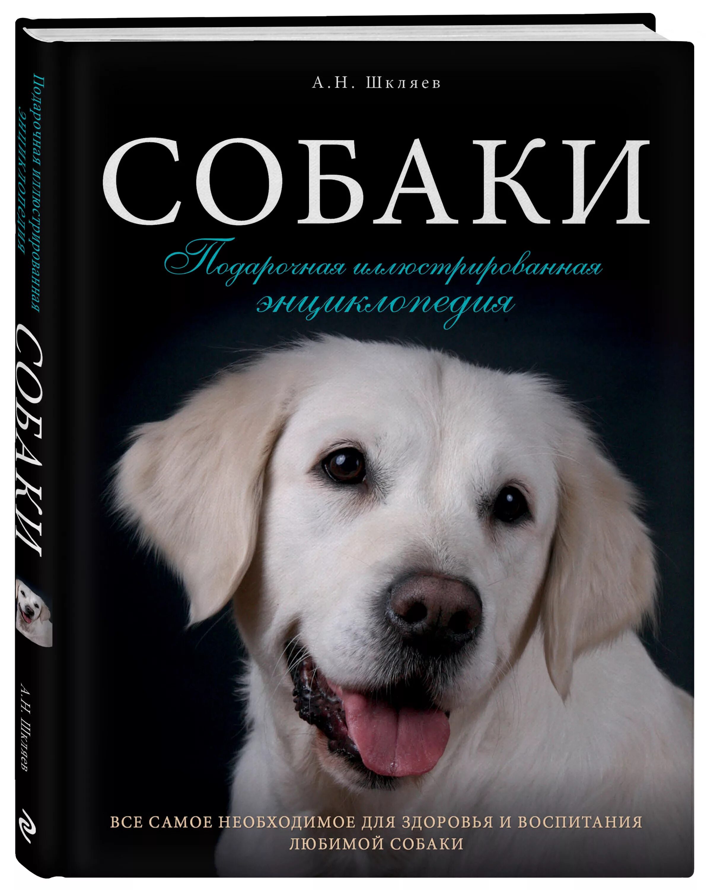 Книги о собаках отзывы. Собаки подарочная иллюстрированная энциклопедия. Собаки подарочная иллюстрированная энциклопедия Шкляев. Книжка большая иллюстрированная энциклопедия собаки Шкляев. Книги про собак.