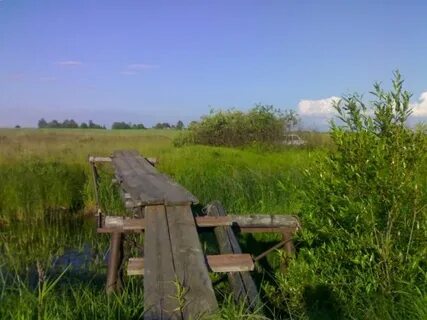 Погода в больших горках тверская область