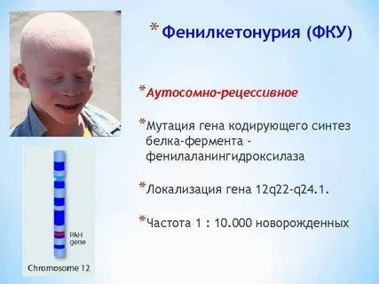 Фенилкетонурия мутация