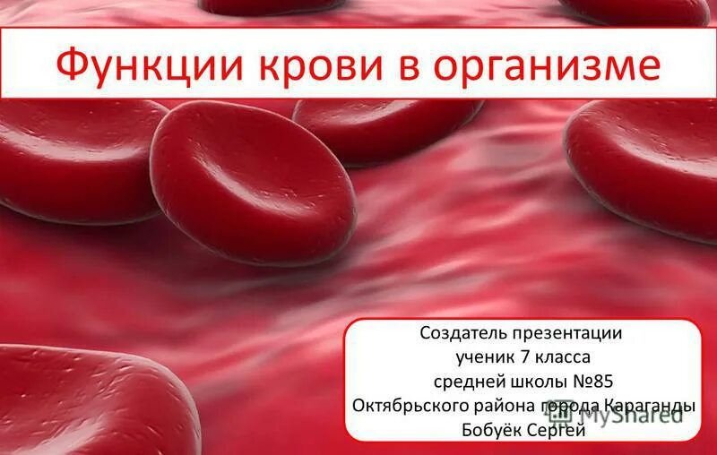 Укажи функции крови человека