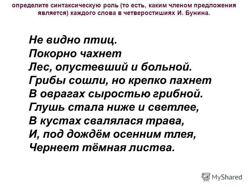 Анализ стихотворения у птицы есть. Стихотворение Бунина не видно птиц покорно чахнет. Стих не видно птиц. И.А.Бунина "не видно птиц...". Лес опустевший и больной стих.