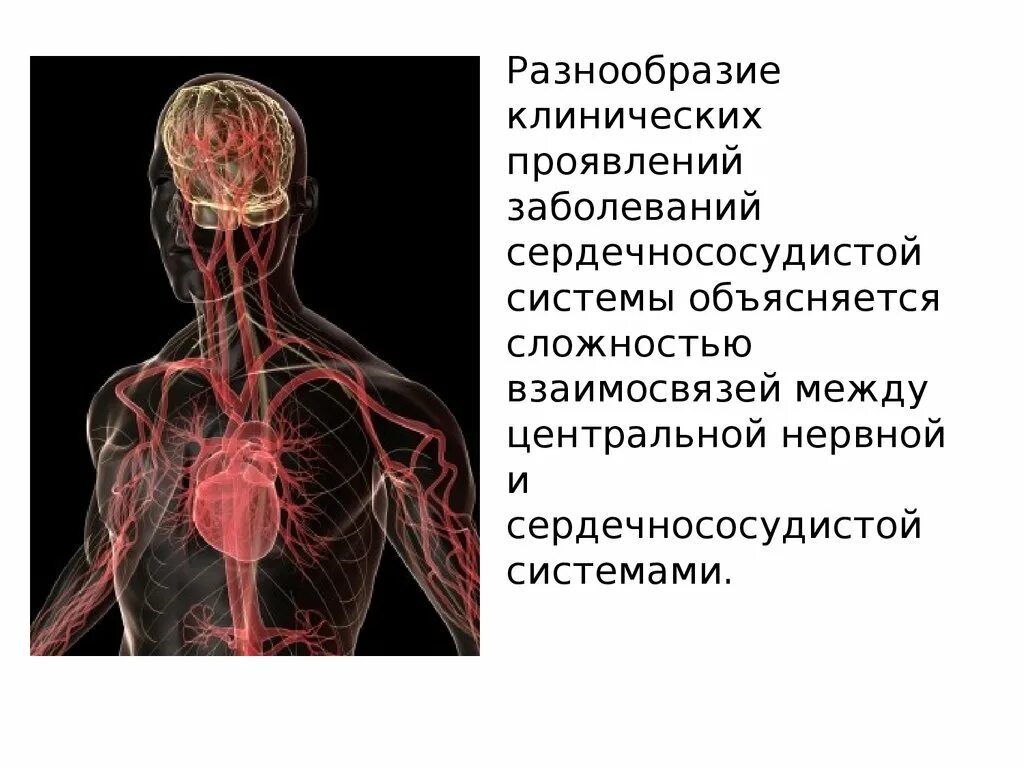 Помощь при заболеваниях нервной системы. Заболевания центральной нервной системы. кровеносная и нервная система человека. заболевания нервной системы симптомы. профилактика заболеваний нервной системы.