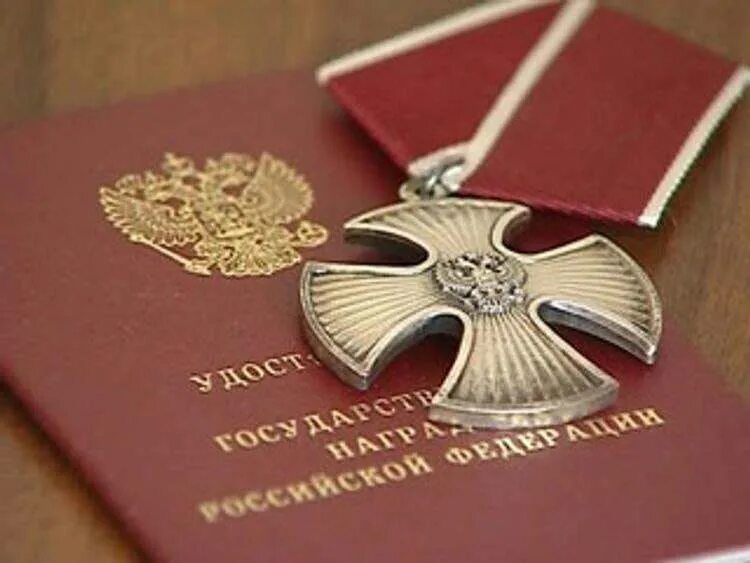 Высокого профессионализма и мужества. Орден мужества и медаль за отвагу. Орден мужества посмертно медаль. Высокого профессионализма и мужества. Орден за мужество.