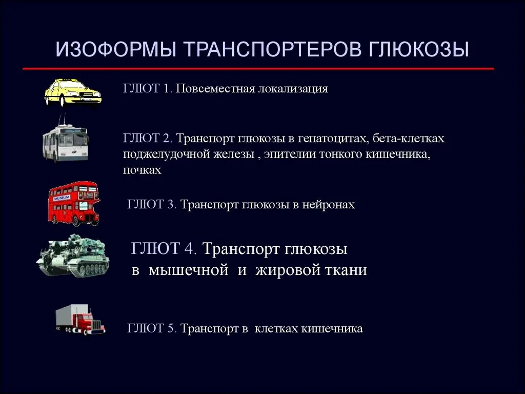 Транспорт Глюкозы таблица. Механизмы транспорта Глюкозы в клетки разных тканей. Механизмы транспорта Глюкозы в ткани. Таблица 2. транспорт Глюкозы.