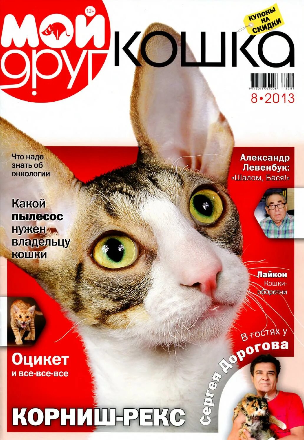 Сайт журнала друг. Журнал про кошек. Кошачий журнал. Журнал друг кошек 2013 год. Журнал друг для любителей кошек.