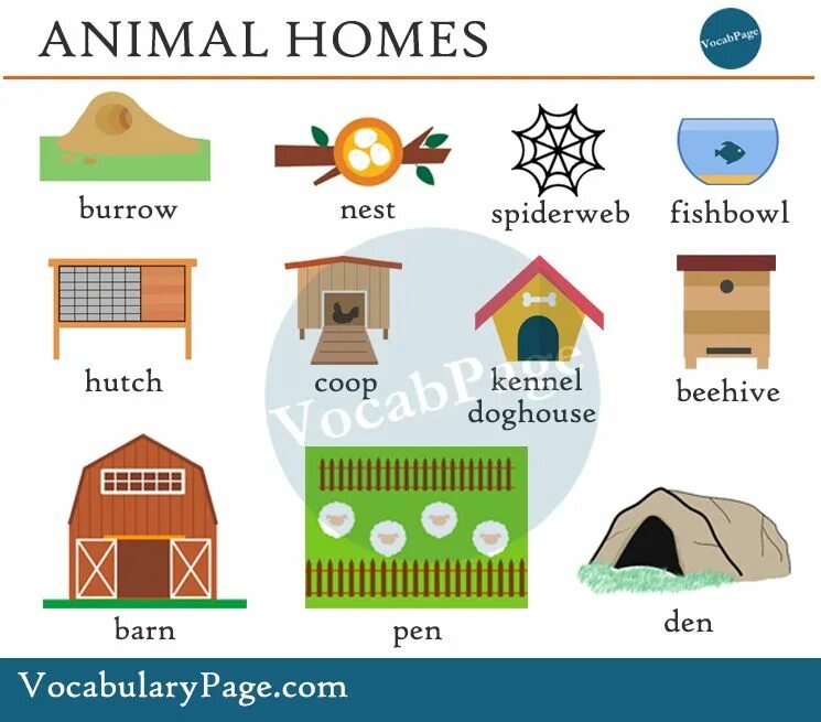 Энимал хоум. House Vocabulary. Animals and their Homes. Home for animals. Animals house перевод