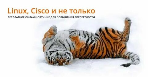Ждем тигра