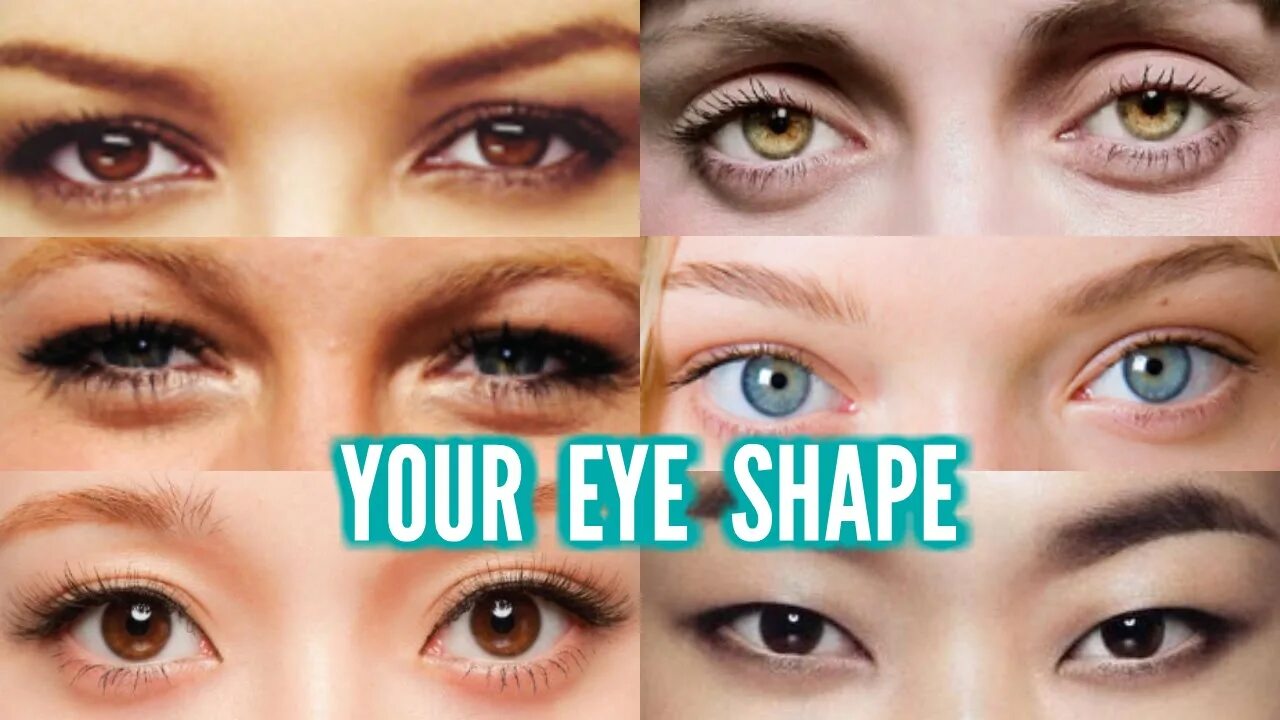 Form eyes. Типы глаз. Виды цвета глаз. Типы глаз по размеру. Разновидности карих глаз.