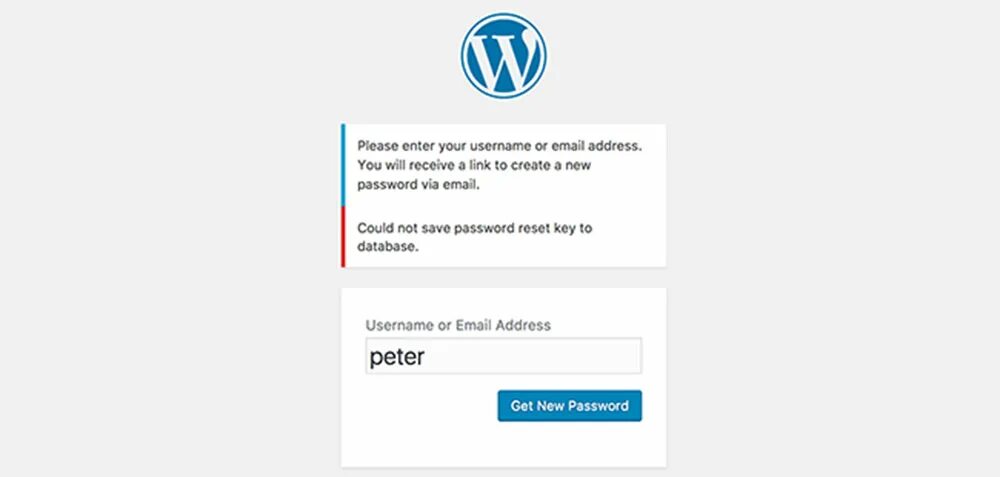 Username password reset. Ошибка key. исправление ошибок wordpress. wordpress error. reset password.