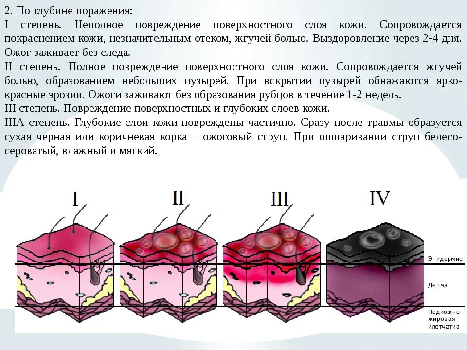 Сколько заживает глубокий. Степени поражения термических ожогов. Степени ожогов по глубине поражения. Степени поражения кожи при ожогах. Ожог III степени характеризуется.