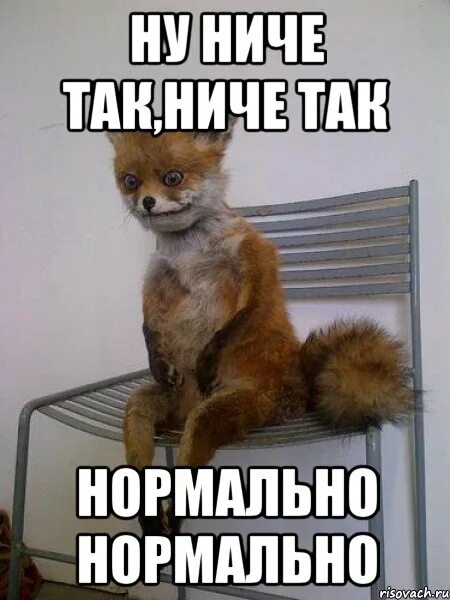 Да мне и так нормально