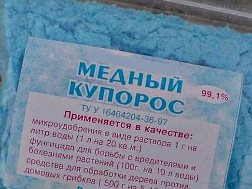 Как развести медный купорос от грибка