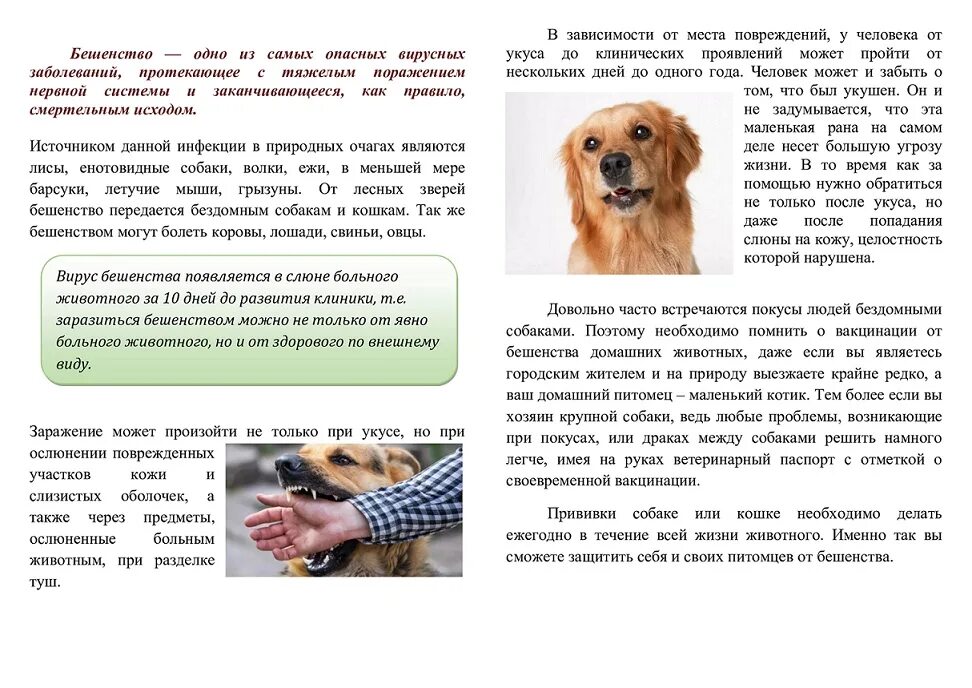 что делать если человек кусает человека