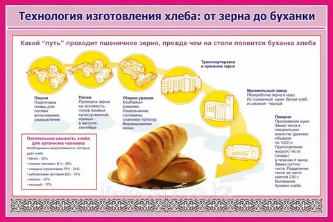 Последовательность приготовления хлеба