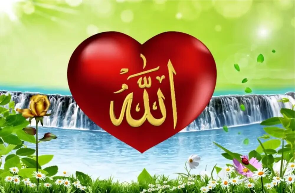 Мусульманское сердце. Сердце мусульманский надписями. Мусульманские сердечки с надписями. Мусульманские валентинки.